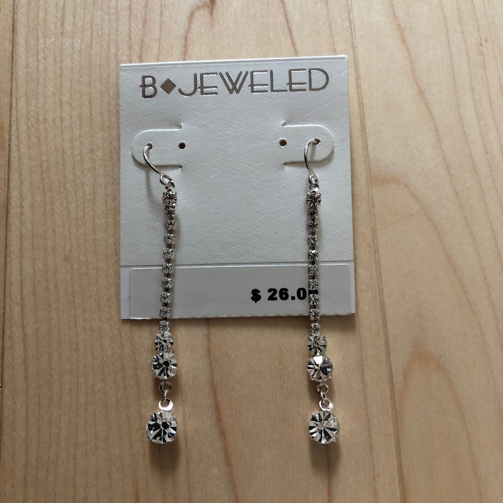 NWT: Sparkly Dangle Earrings